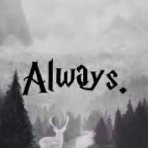 Meet your Posher, Maxx